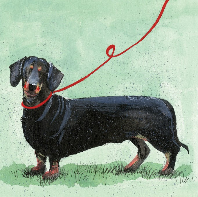 Dachshund Card