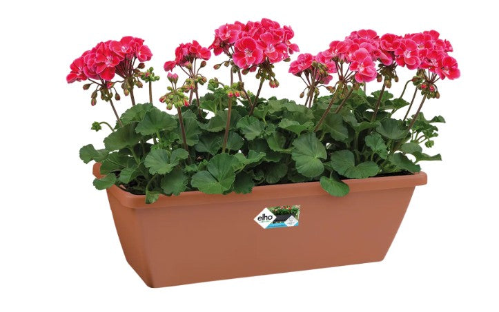 Elho Barcelona Trough 50cm Terracotta