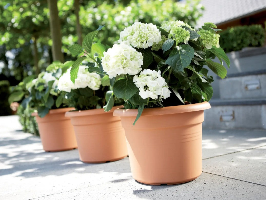 Elho Green Basics Cylinder 35cm Mild Terracotta