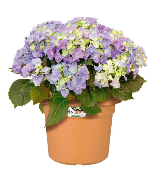 Elho Green Basics Cylinder 35cm Mild Terracotta