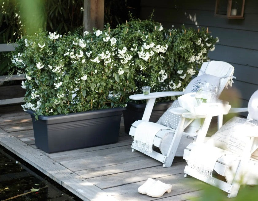 Elho Green Basics Garden XXL 100cm Living Black
