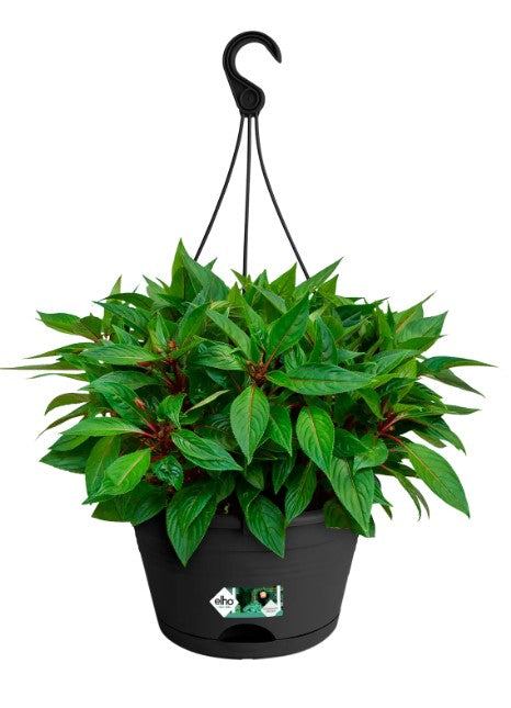 Elho Green Basics Hanging Basket 28cm Living Black