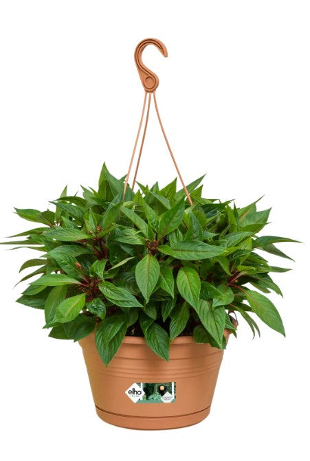 Elho Green Basics Hanging Basket 28cm Mild Terracotta