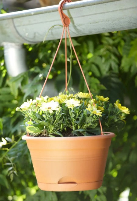 Elho Green Basics Hanging Basket 28cm Mild Terracotta