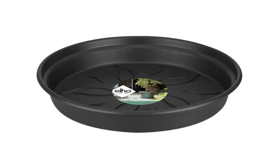 Elho Green Basics Saucer Living Black 10cm