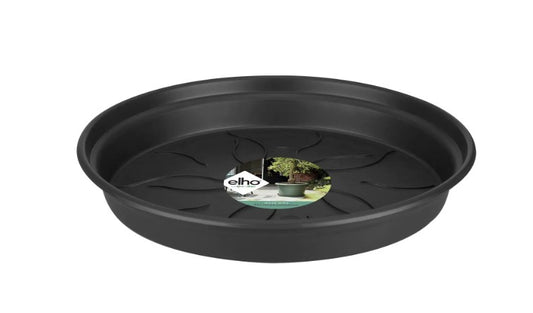 Elho Green Basics Saucer Living Black 22cm