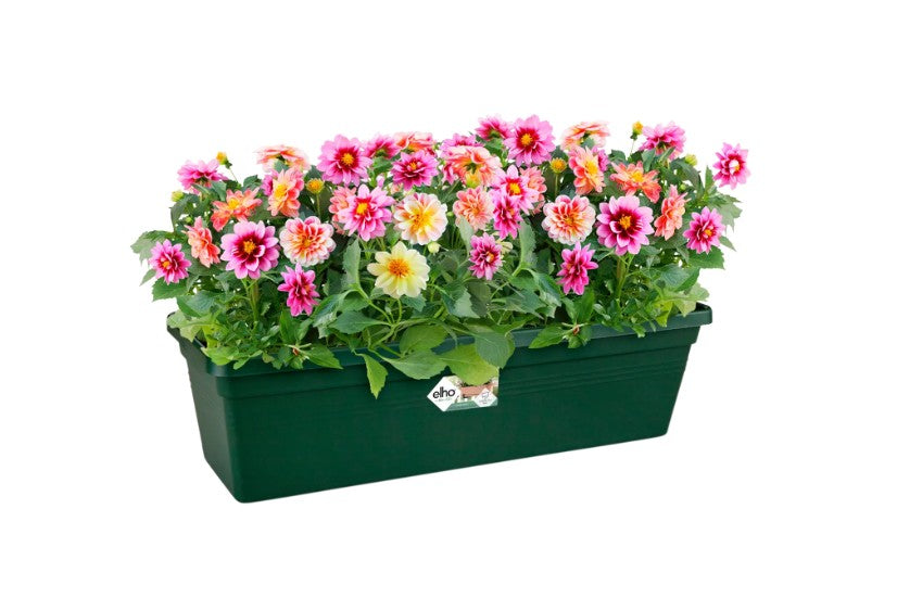 Elho Green Basics Trough 60cm Leaf Green