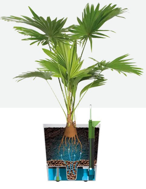 Elho Greensense Aqua Care Round 35cm Charcoal Grey