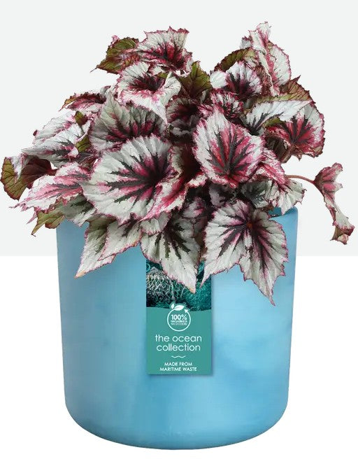 Elho Ocean Collection 16cm Blue