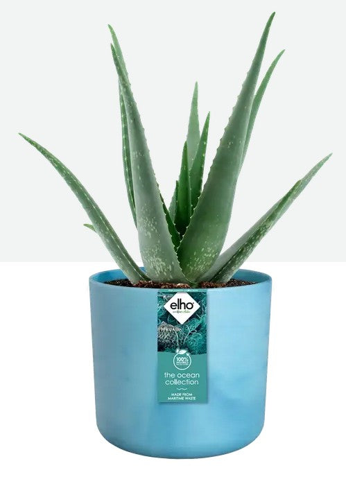 Elho Ocean Collection 16cm Blue