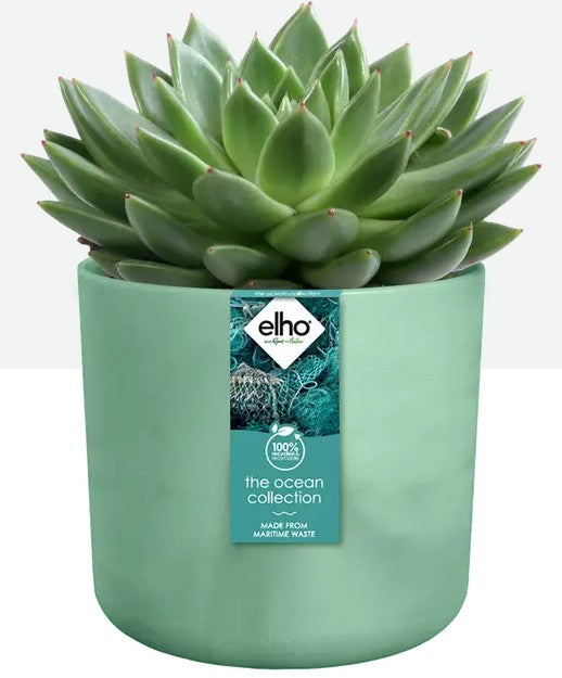 Elho Ocean Collection 14cm Green