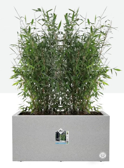 Elho Vivo Next Long 80cm Living Concrete