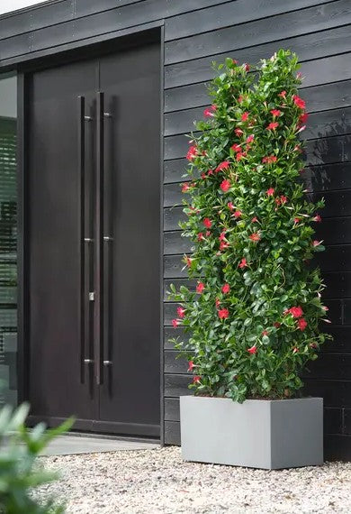 Elho Vivo Next Long 80cm Living Concrete