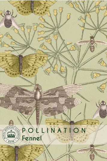 Thompson & Morgan Kew 'Fennel' seeds