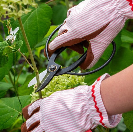 Burgon & Ball Thinning / Florists Shear
