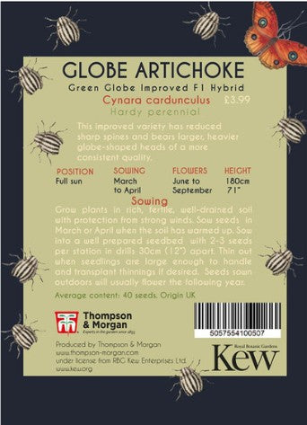 Thompson & Morgan Kew 'Globe Artichoke' seeds