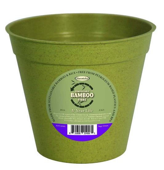 5` Haxnicks Bamboo Pot (5pk) Green