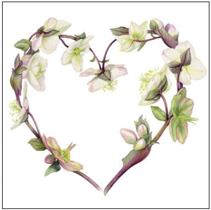 Hellebore Heart Eco-Card