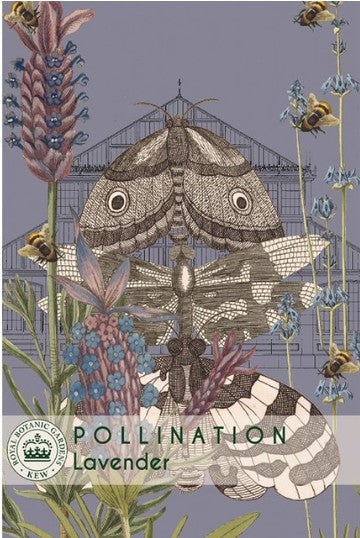 Thompson & Morgan Kew 'Lavender' seeds