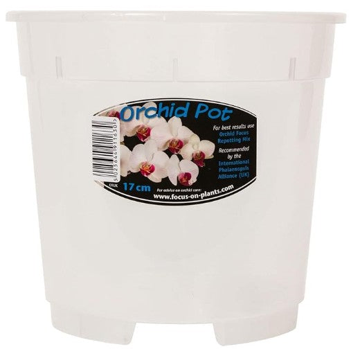 Clear Orchid Pot 17cm