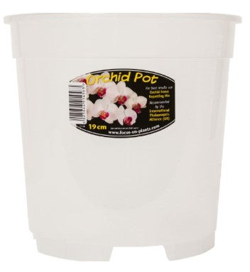 Clear Orchid Pot 19cm