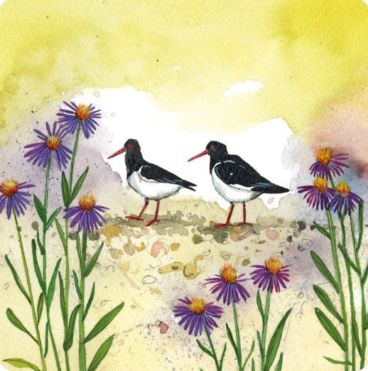 Oystercatchers & Sea Aster Card