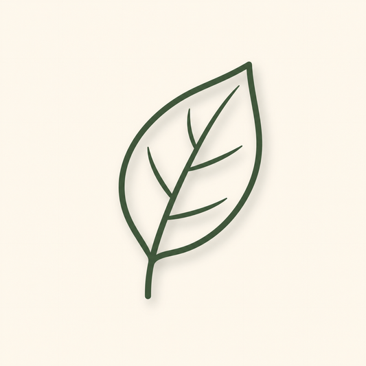 Product image coming soon – Hydrangea arborescens Strong Annabelle 10L. Placeholder only; not a representation of the product.