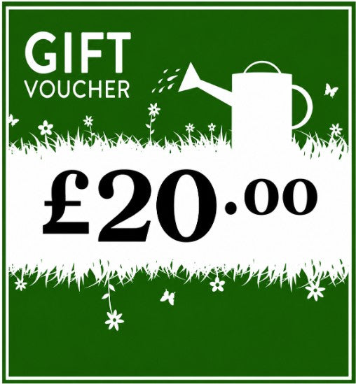 Pengelly £20 Gift voucher