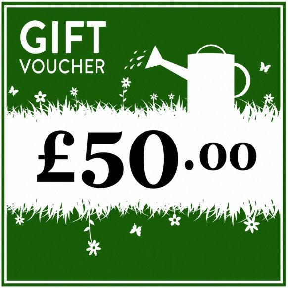 Pengelly £50 Gift voucher