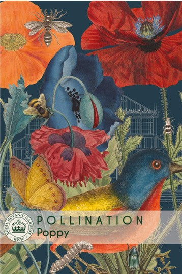 Thompson & Morgan Kew 'Poppy' seeds
