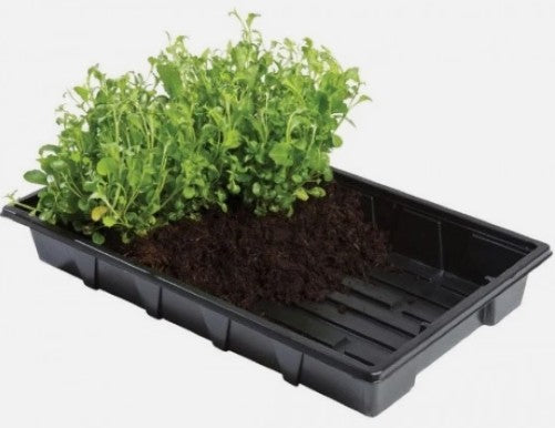 Professional Gravel Tray (5) W0004 at Pengelly Garden Centre Cornwall black plastic tray with raised edges and mesh base