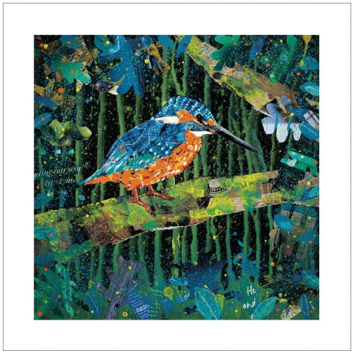 River King Eco-Card