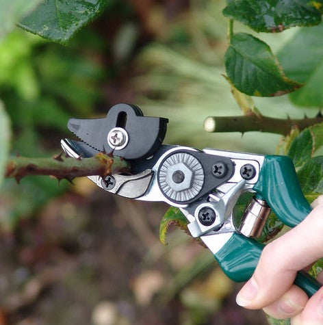 Burgon & Ball Rose Pruner