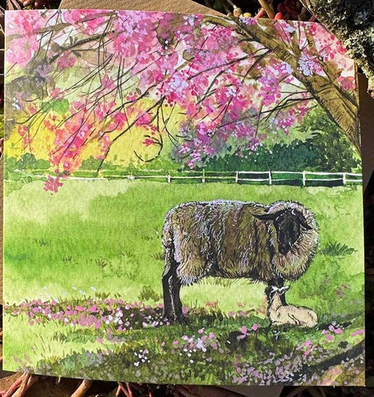 Alex Clark Sheep, Lamb and Cherry Blossom Blank Card AC882