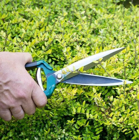 Burgon & Ball Shrub Shear