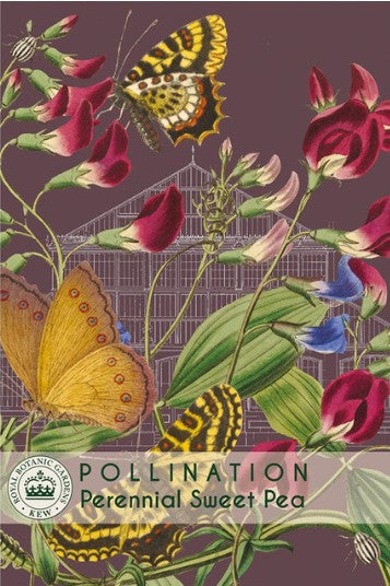 Thompson & Morgan Kew 'Perennial Sweet Pea' seeds