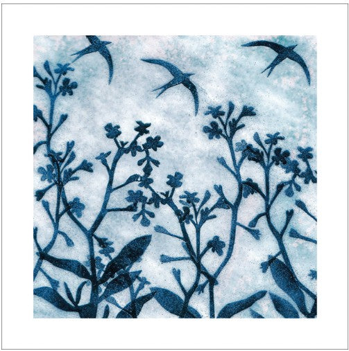 Swifts Eco-Card