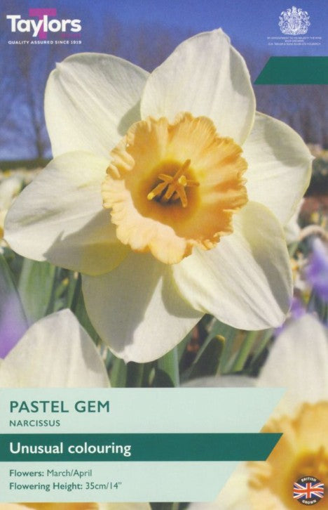 Taylors Bulbs Narcissus 'Pastel Gem' (7)