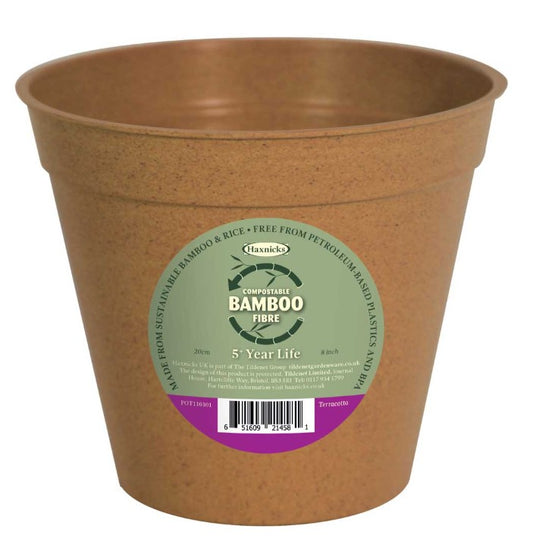 Haxnicks 6` Bamboo Pot (5 Pack) Terracotta