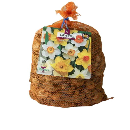 Narcissus Mixed For Naturalising 5kg