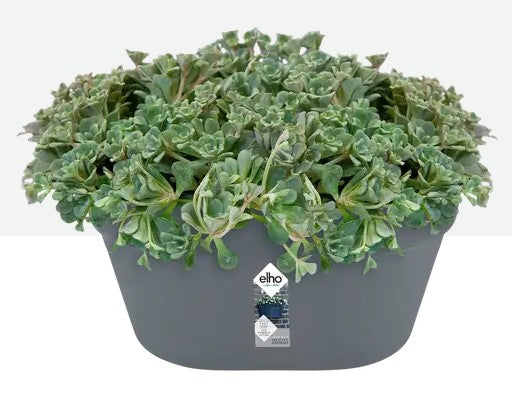 Elho Loft Urban Wall Basket 40cm Anthracite