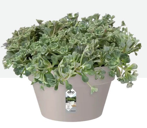 Elho Loft Urban Bowl 35cm Warm Grey