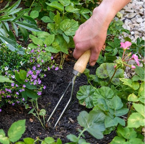 Burgon & Ball Stainless Weeding Fork