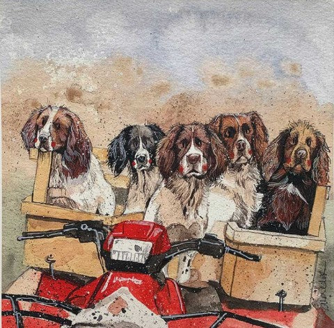 Alex Clark Working Spaniels