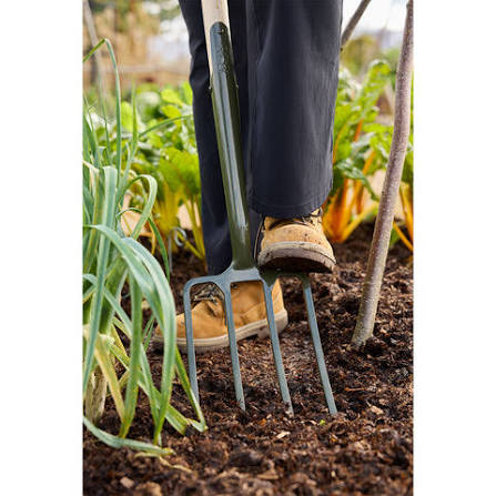 Burgon & Ball Boron Green Border Fork