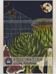 Thompson & Morgan Kew 'Globe Artichoke' seeds