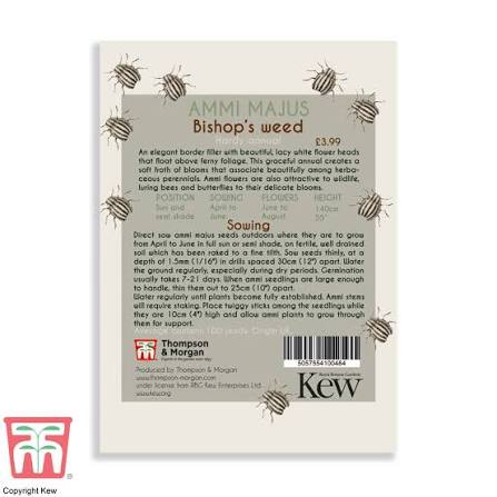 Thompson & Morgan Kew 'Ammi Majus Bishop's Weed' seeds