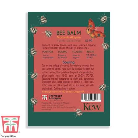 Thompson & Morgan Kew 'Bee Balm Monarda' seeds