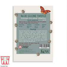 Thompson & Morgan Kew 'Blue Globe Thistle' seeds