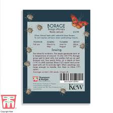 Thompson & Morgan Kew 'Borage' seeds